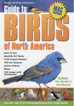 birding software